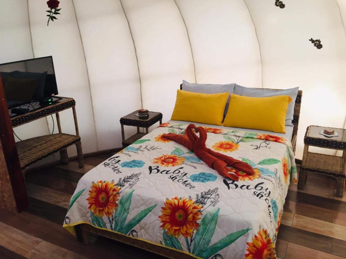 Shenanigans Glamping Resort Zamboanguita  외부 사진